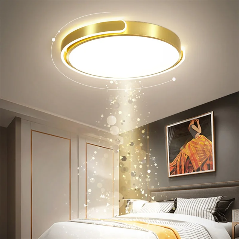 Потолочный светильник ANITA Nordic, современные золотые круглые лампы, простые светильники, светодиодные дома для гостиной 2
